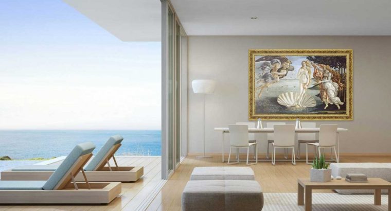 Ducati Monster 821 – Immaculate Condition, Low Miles!